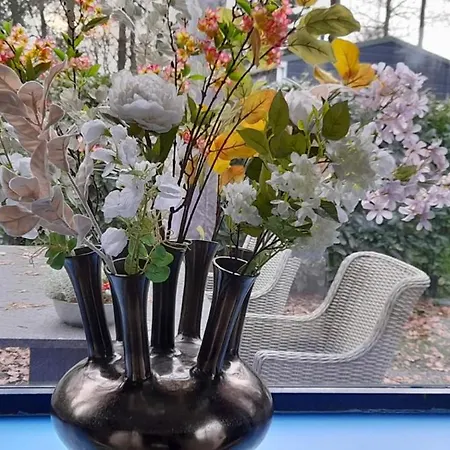 Campingplads Veluwe G10 Veldkamp 4 Personen *