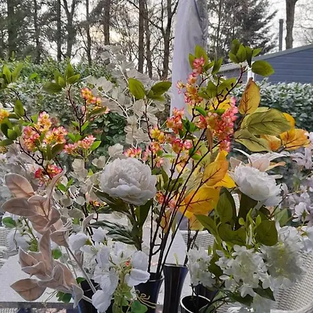 Campsite Veluwe G10 Veldkamp 4 Personen Epe