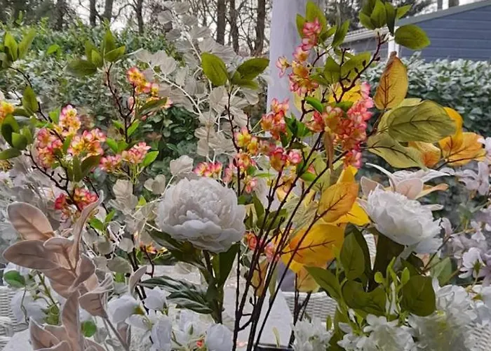 Camping Veluwe G10 Veldkamp 4 Personen Epe