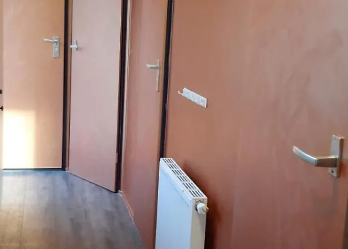 Veluwe G10 Veldkamp 4 Personen Camping Epe