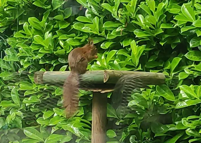 Veluwe G10 Veldkamp 4 Personen