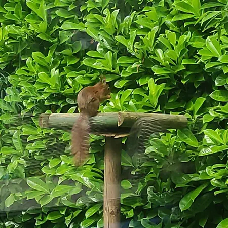 Veluwe G10 Veldkamp 4 Personen